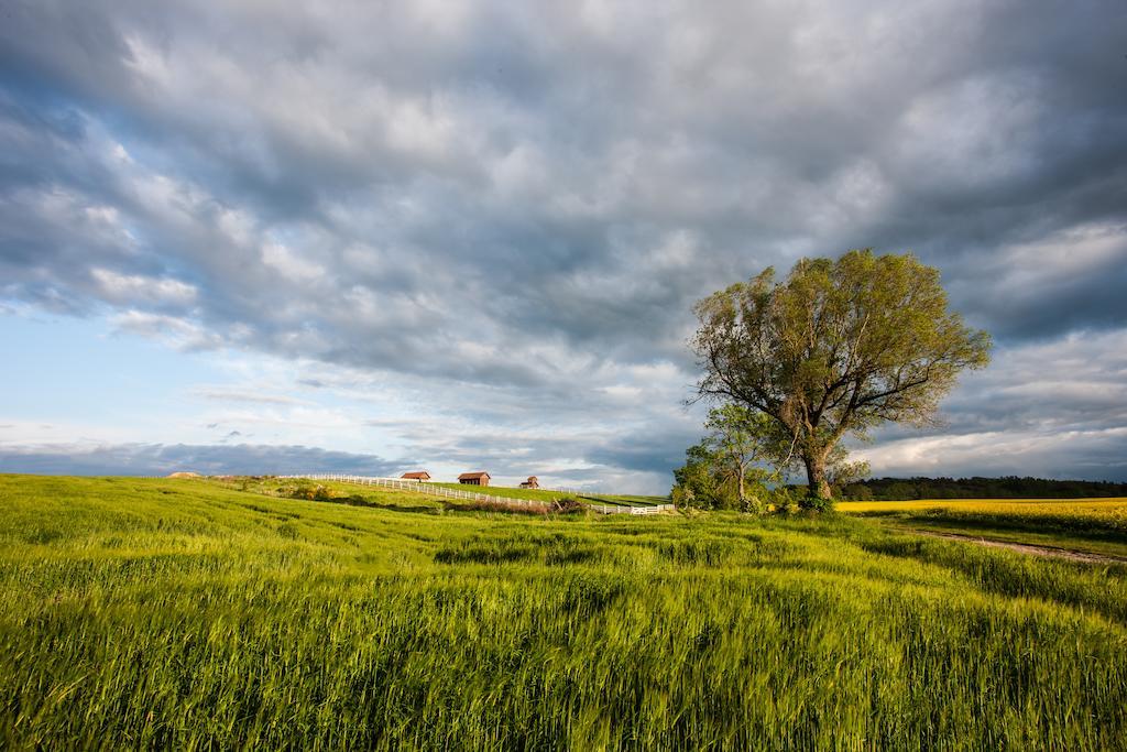 Palac Ciekocinko Hotel Resort & Wellness Dış mekan fotoğraf