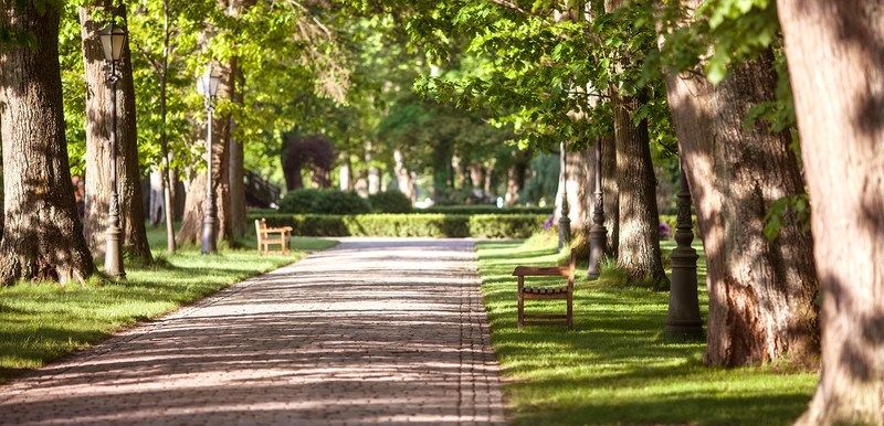 Palac Ciekocinko Hotel Resort & Wellness Dış mekan fotoğraf